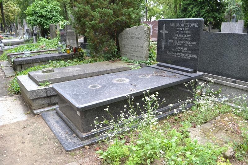 Zdjęcie grobu: Czesław Nielubowicz