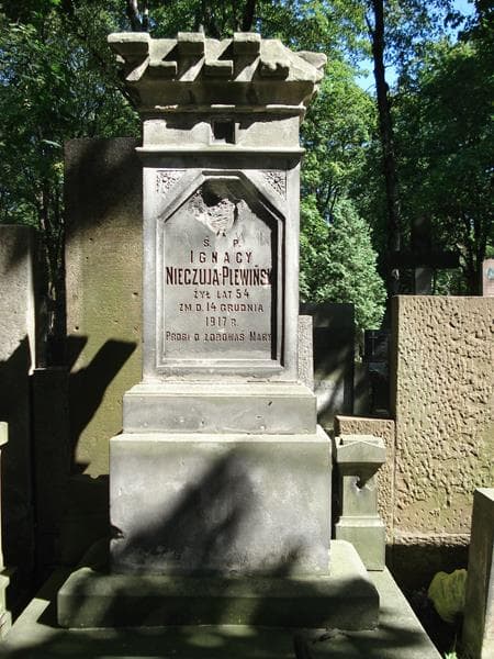 Zdjęcie grobu Ignacy Nieczuja-Plewiński (2)