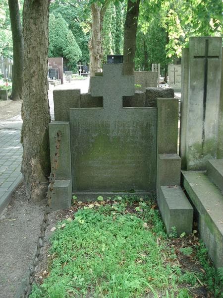 Zdjęcie grobu Władysław Topczewski (2)
