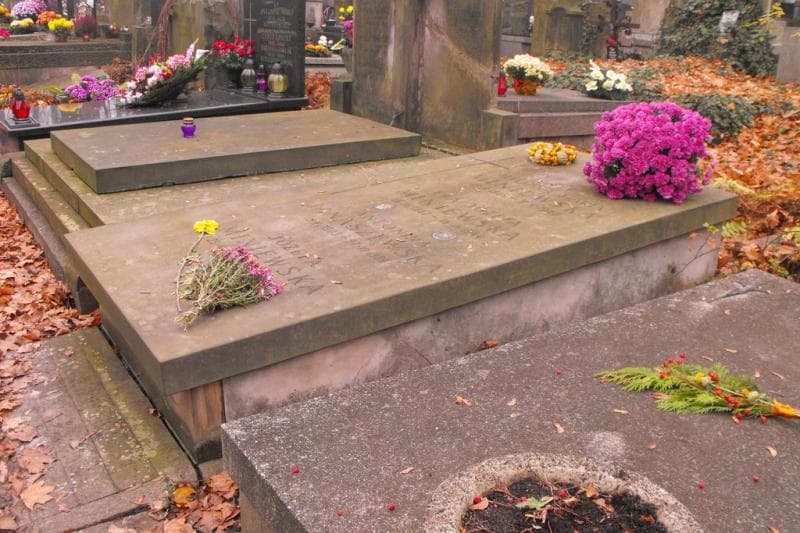 Zdjęcie grobu Antonina Janaszewska (1)