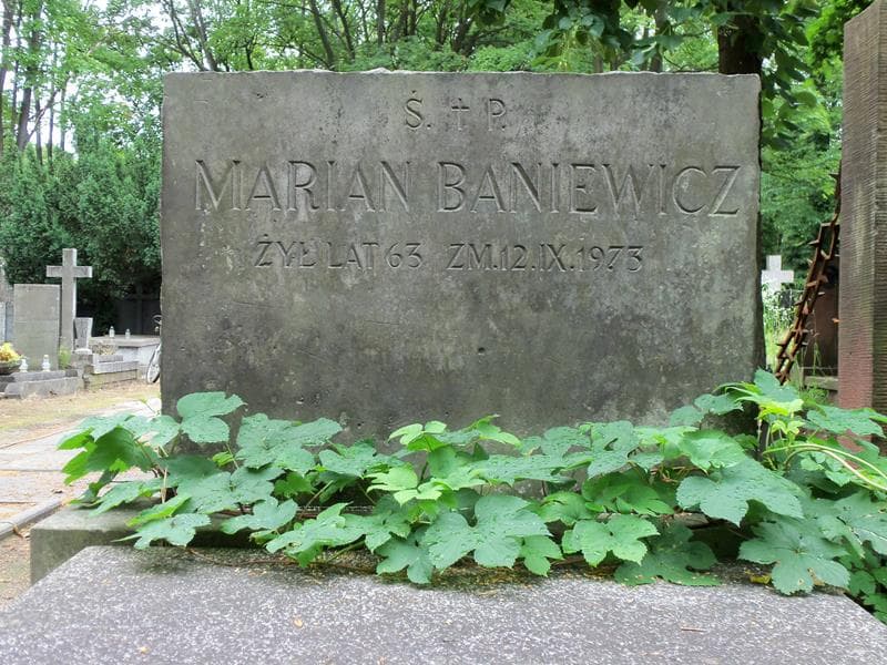 Zdjęcie grobu Marian Baniewicz (2)