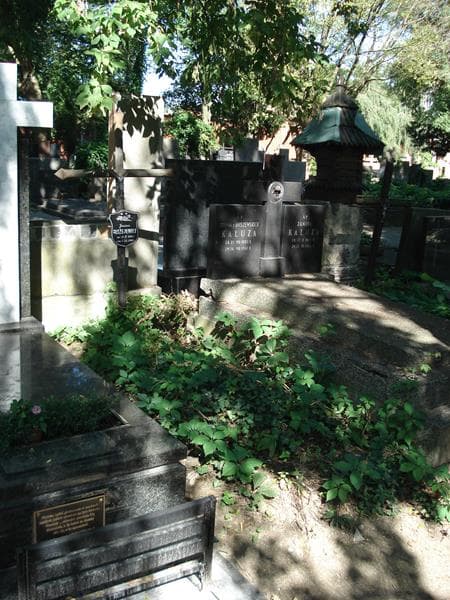 Zdjęcie grobu Janina Błażejewicz (1)