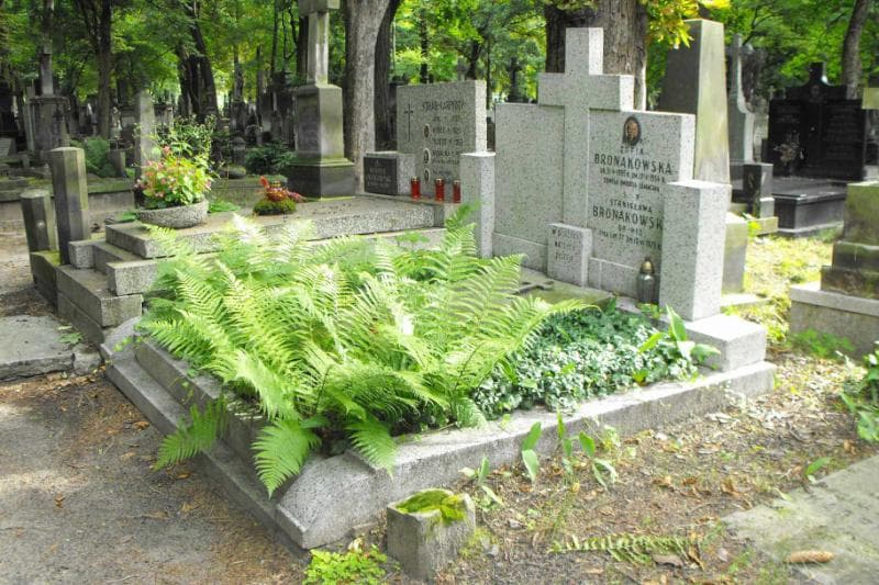 Zdjęcie grobu Zofia Bronakowska (1)
