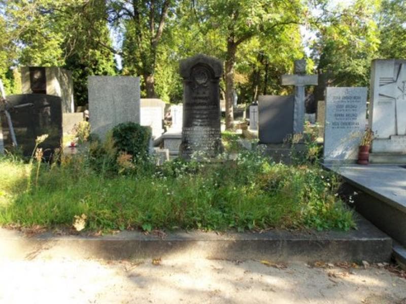 Zdjęcie grobu: Wiktoria Makowska