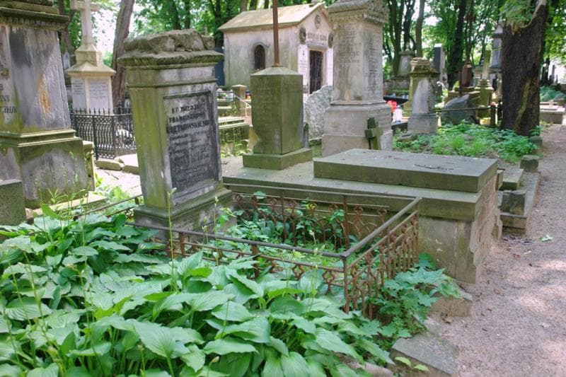 Zdjęcie grobu: Franciszek Krętkowski