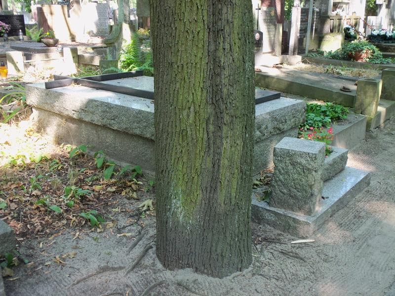 Zdjęcie grobu Henryk Lipiński (2)
