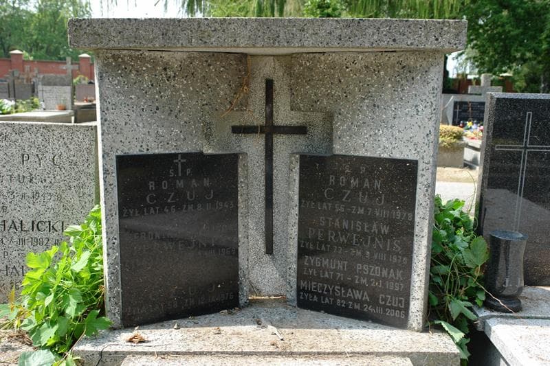 Zdjęcie grobu Stanisław Perwejnis (2)