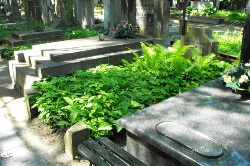 Zdjęcie grobu Florentyna Kuchniak (1)