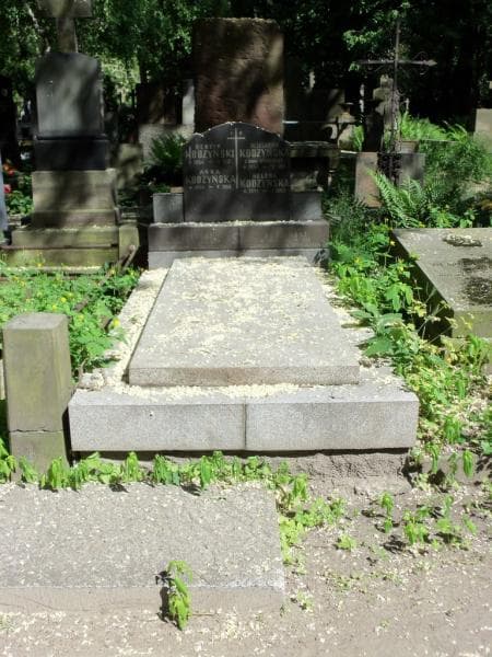 Zdjęcie grobu: Józef Kodzyński