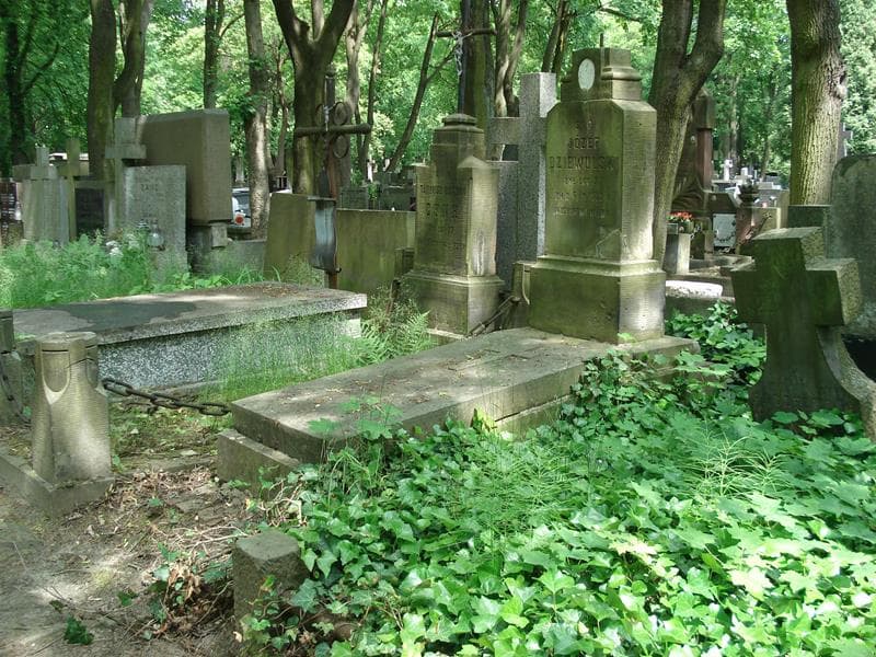 Zdjęcie grobu Józef Dziewulski (1)