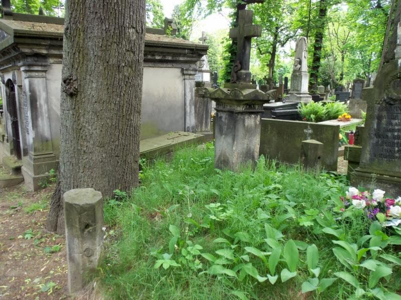 Zdjęcie grobu Andrzej Piasecki (1)