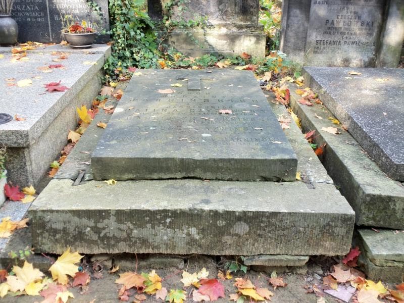Zdjęcie grobu: Tadeusz Jarniński