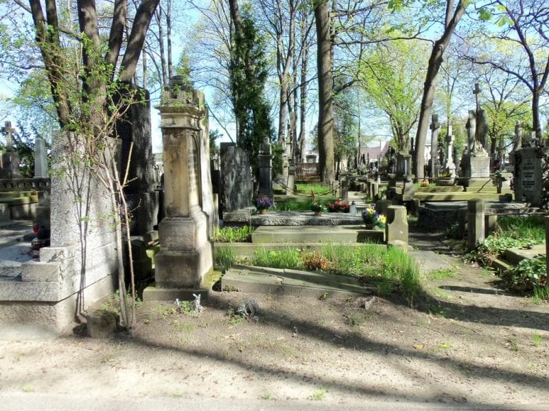 Zdjęcie grobu Zenajda Malczewska (1)