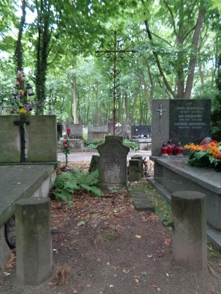 Zdjęcie grobu Stanisław Zdzisław Strzałkowski (1)