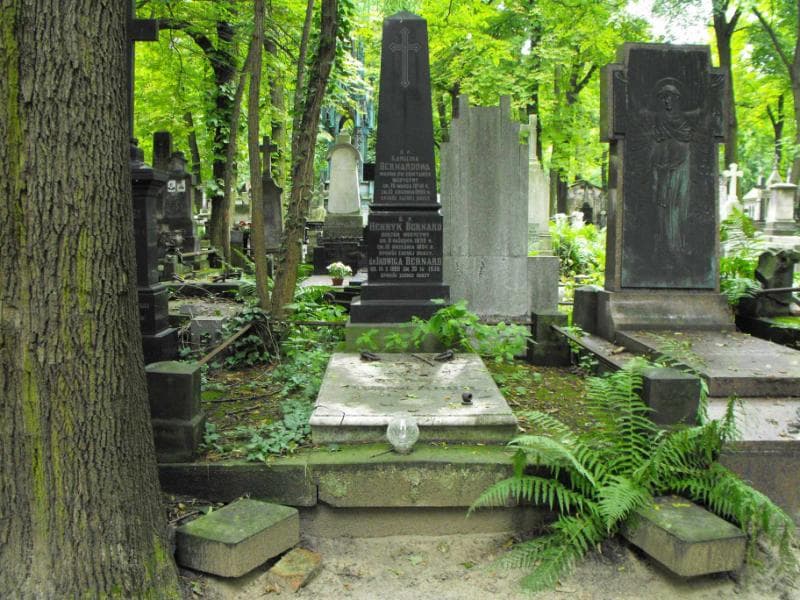 Zdjęcie grobu: Henryk Bernard