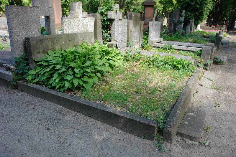 Zdjęcie grobu: Irmina Bajkowska