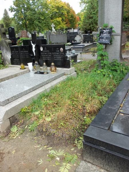 Zdjęcie grobu Stanisław Lewicki (1)