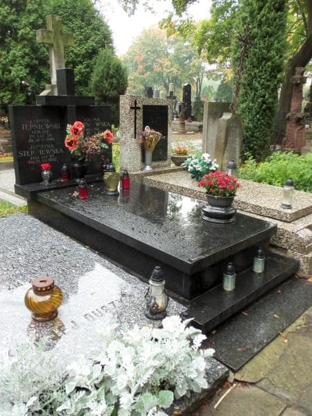 Zdjęcie grobu Justyna Stępniewska (1)