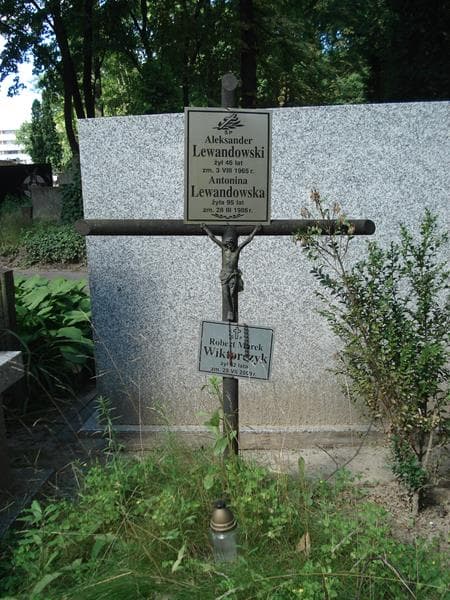 Zdjęcie grobu Aleksander Lewandowski (1)