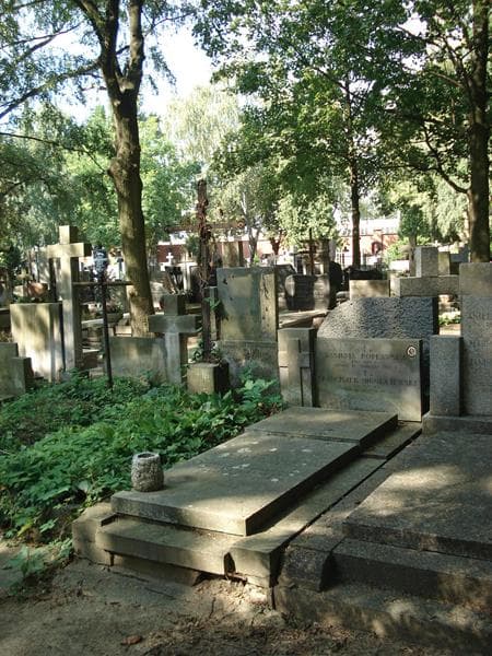 Zdjęcie grobu Franciszek Mikołajewski (1)
