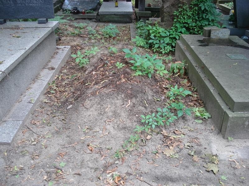 Zdjęcie grobu Pole Grobowe (1)