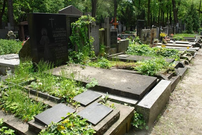 Zdjęcie grobu: Antoni Walawender