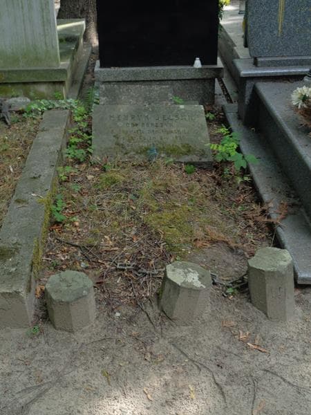 Zdjęcie grobu Henryk Jelski (1)