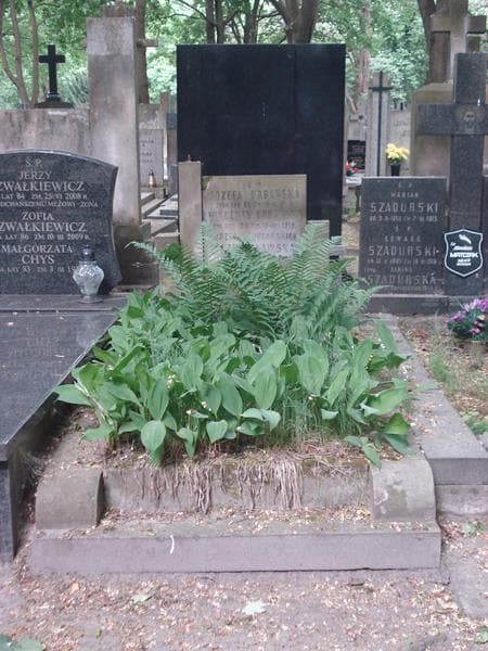 Zdjęcie grobu: Wincenty Urbański