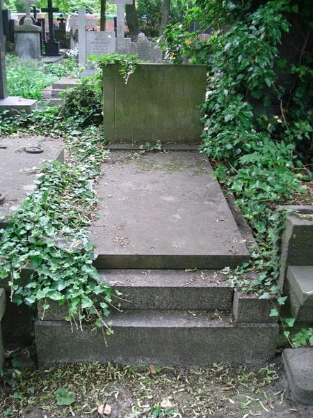 Zdjęcie grobu Antonina Brzuszkiewicz (1)