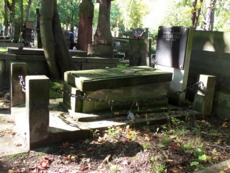 Zdjęcie grobu Jan Ewaryst Domański (1)