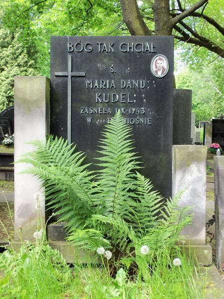 Zdjęcie grobu Maria Danuta Kudelska (2)