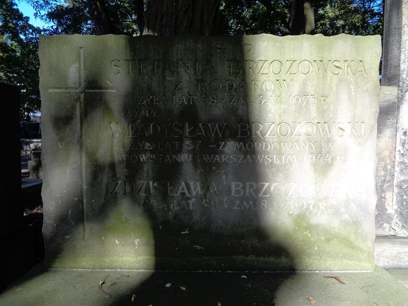 Zdjęcie grobu Władysław Brzozowski (2)