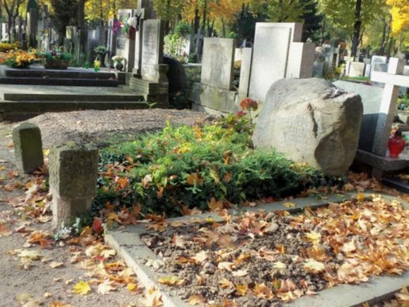 Zdjęcie grobu Elżbieta Wasilewska - Sulik (1)