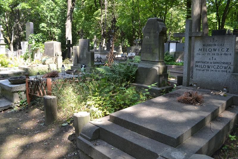 Zdjęcie grobu: Apolonja Rucińska