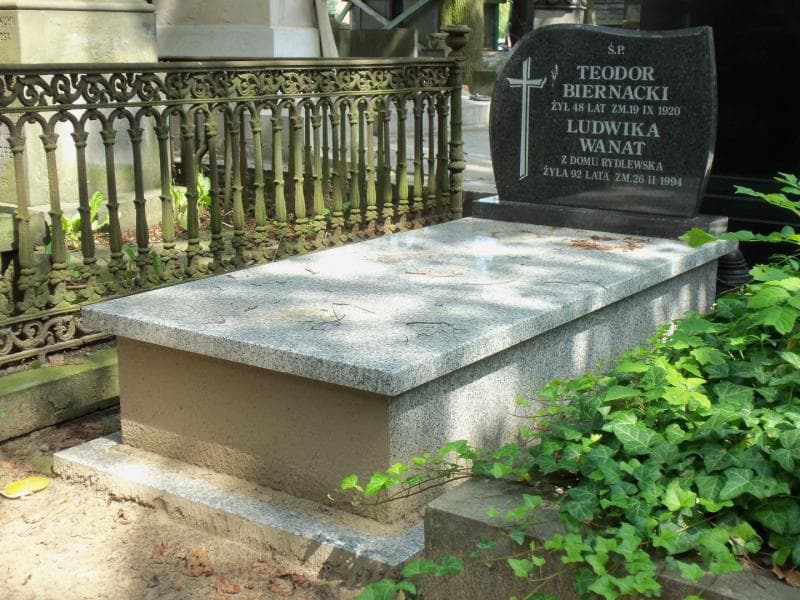 Zdjęcie grobu Ludwika Wanat (1)