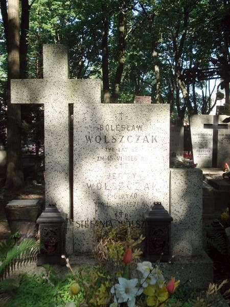 Zdjęcie grobu Stefania Wolszczak (1)