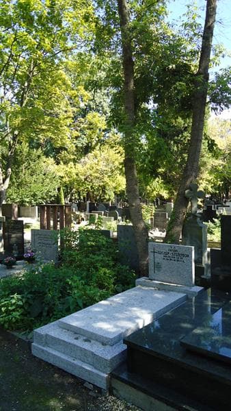 Zdjęcie grobu Malwina Ciechan (1)