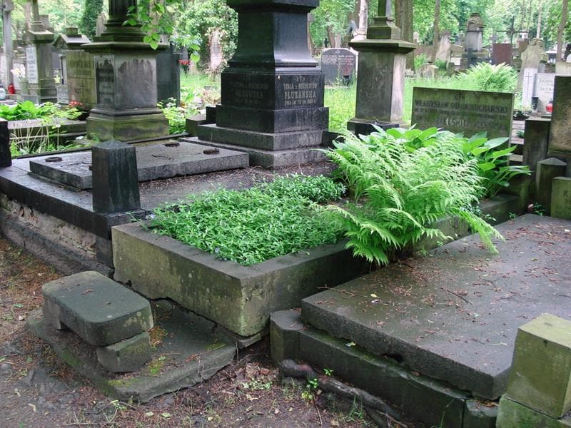 Zdjęcie grobu: Władysław Odon Kucharski