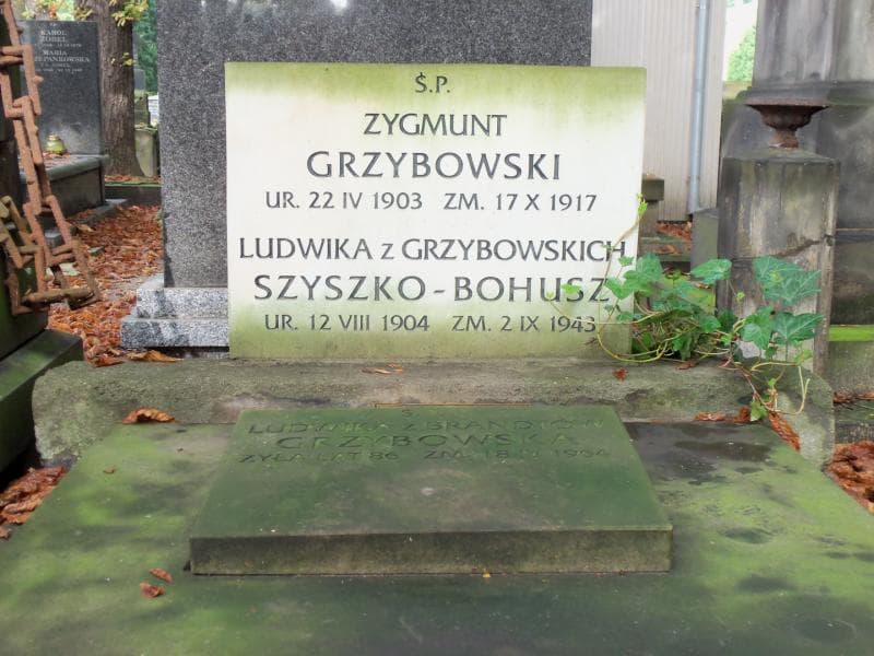 Zdjęcie grobu Zygmunt Grzybowski (2)
