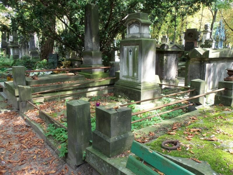 Zdjęcie grobu Seweryn Młodzianowski (1)
