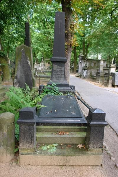 Zdjęcie grobu Ludwik Roszkowski (1)