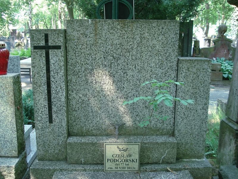 Zdjęcie grobu Aniela Wojtulewicz (1)