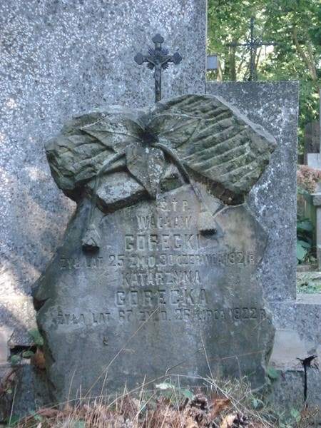 Zdjęcie grobu Wacław Górecki (2)