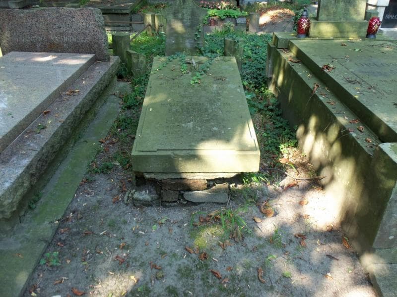 Zdjęcie grobu: Michalina Blizińska