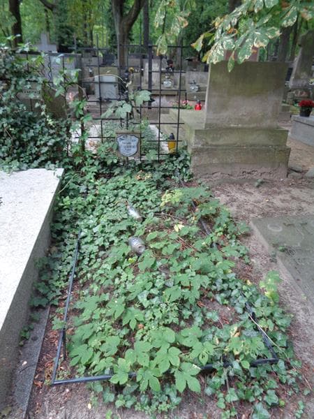 Zdjęcie grobu Ludmiła Dembowska (1)