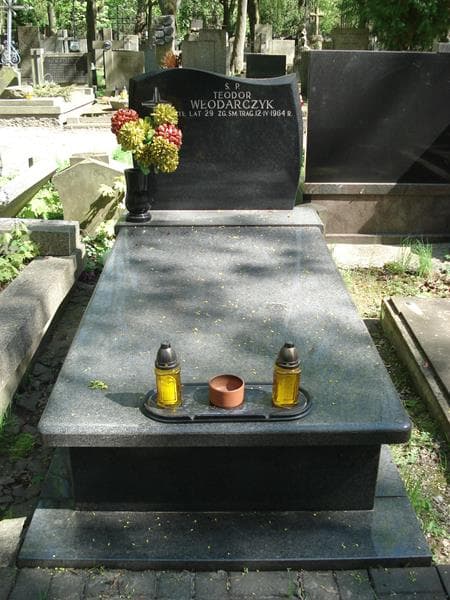 Zdjęcie grobu: Teodor Włodarczyk