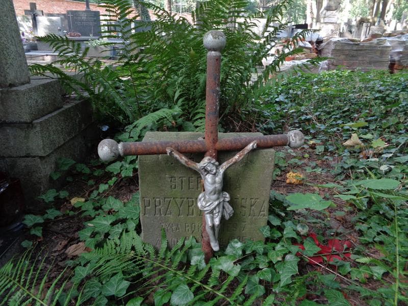 Zdjęcie grobu Stefunia Przybyłowska (1)
