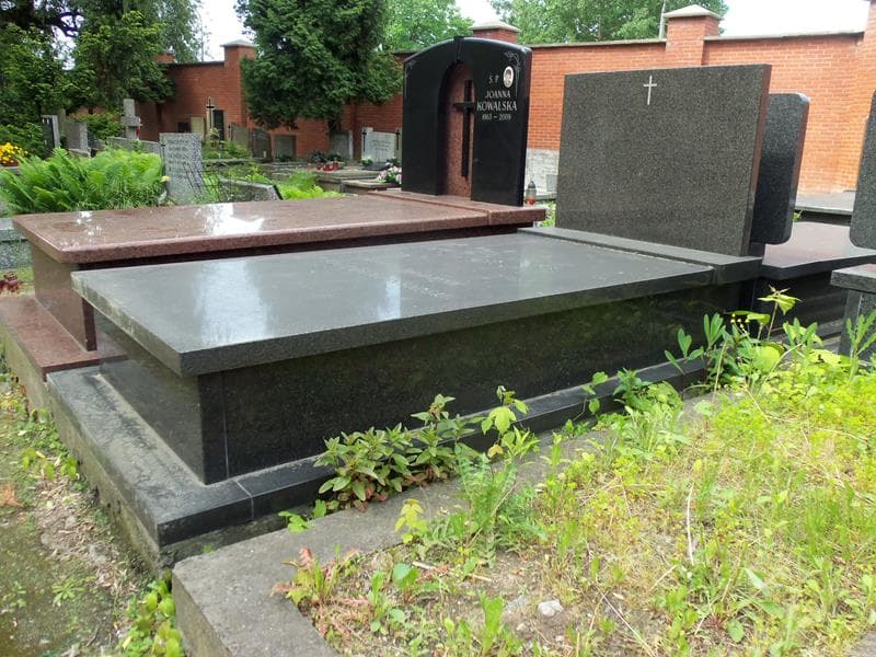Zdjęcie grobu Pszczółkowscy (1)