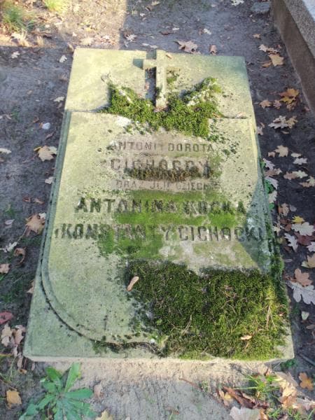 Zdjęcie grobu Dorota Cichocka (2)