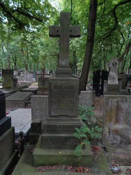 Zdjęcie grobu Teodor Antos (2)